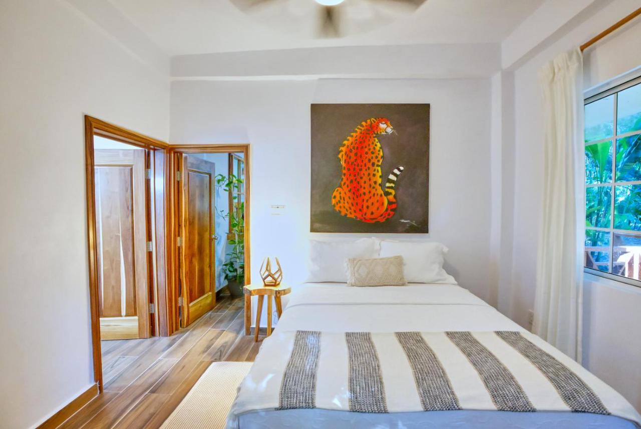 Villa Massis Luxury Villas San Ignacio Exterior photo