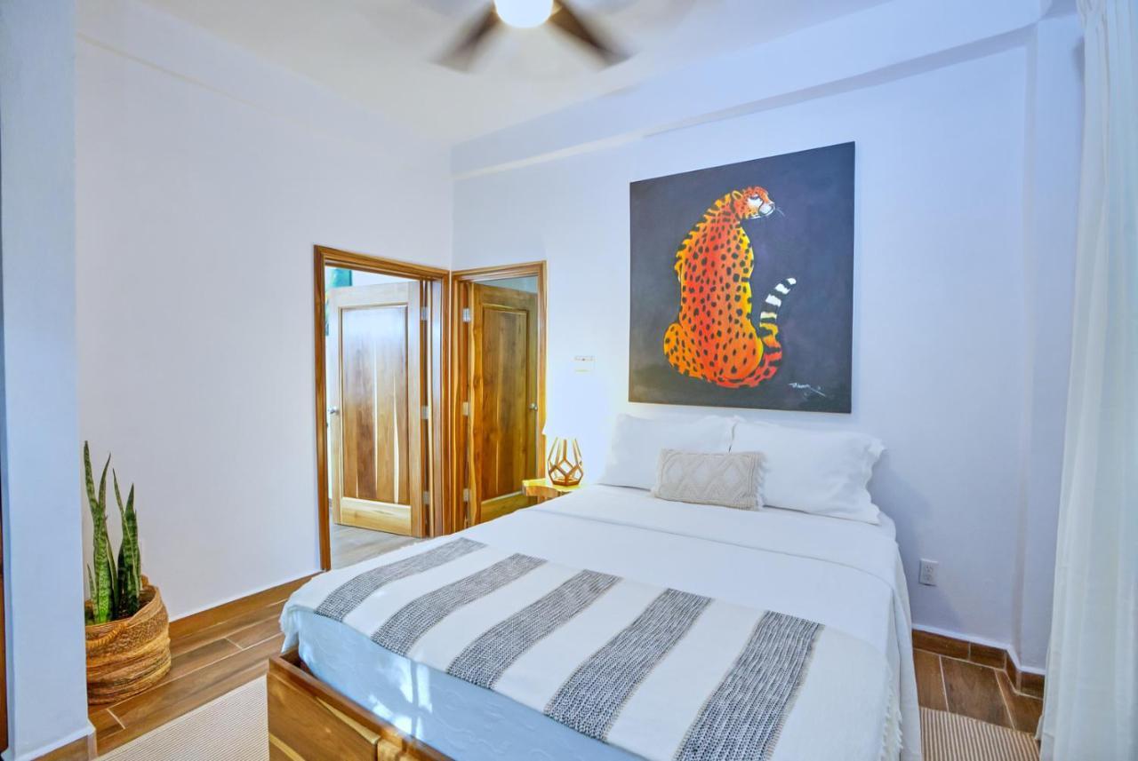 Villa Massis Luxury Villas San Ignacio Exterior photo