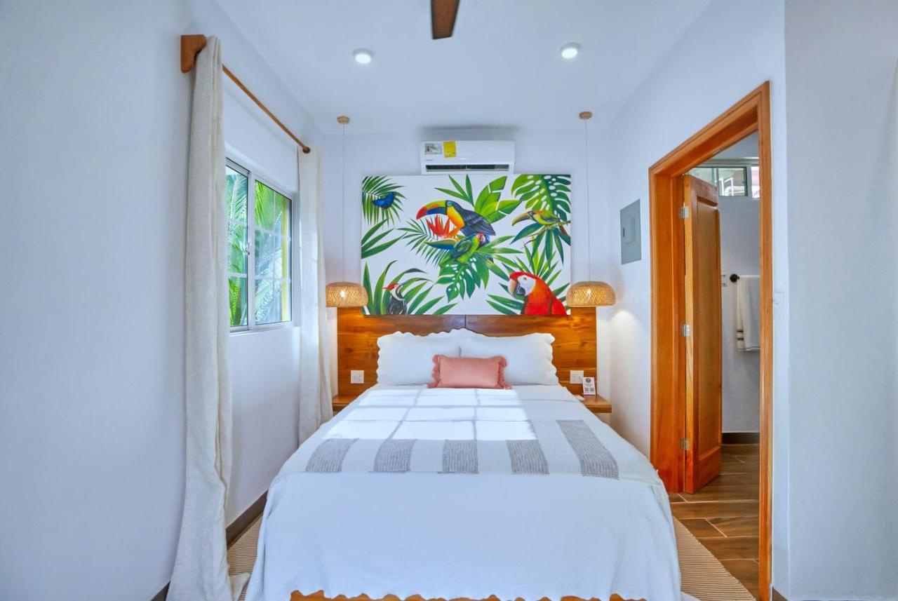 Villa Massis Luxury Villas San Ignacio Exterior photo