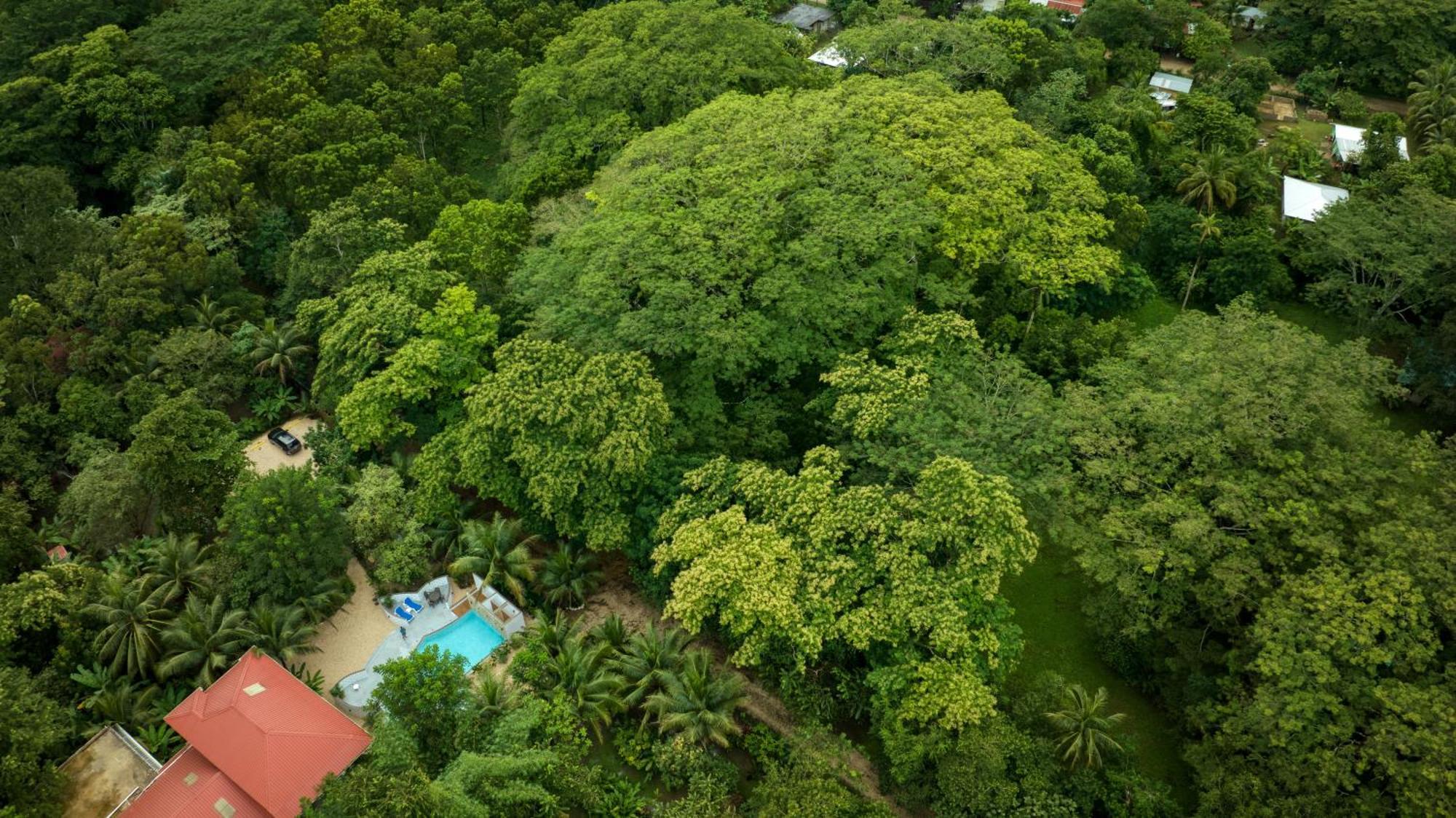 Villa Massis Luxury Villas San Ignacio Exterior photo